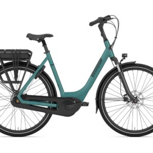 Gazelle PARIS C7+ HMB DISC L57 Thyme green S7 (Mat)