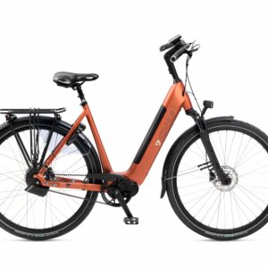 Rih Delta D49 Enviolo Automaat 700wh accu