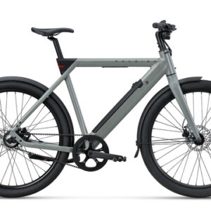 RALEIGH ONE SAGE GREY